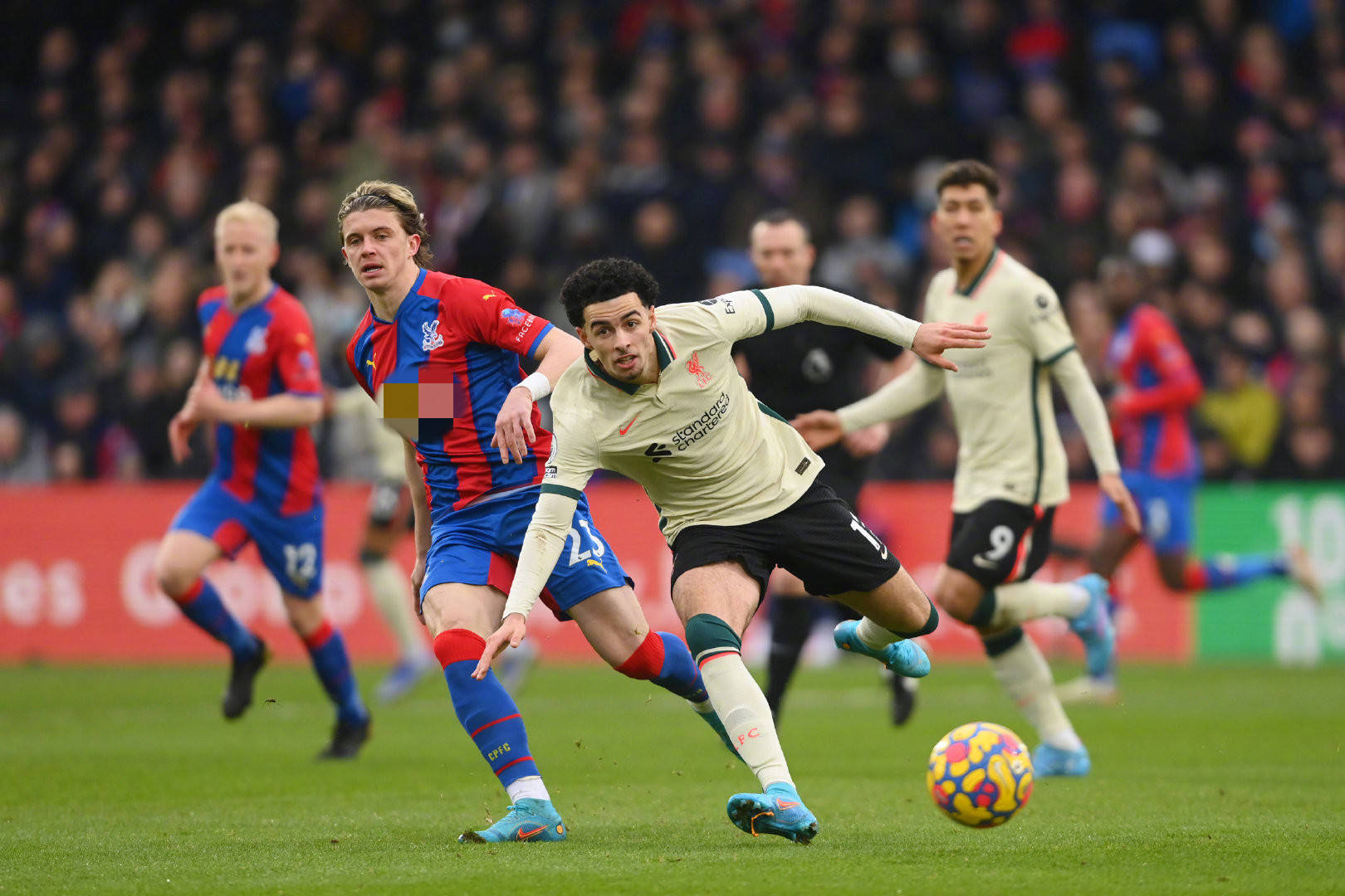 多数专家预 多数专家预